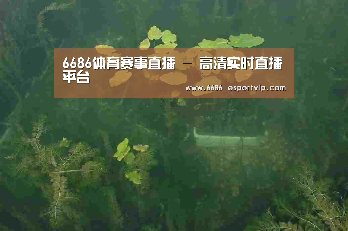 案例展示三(图1)