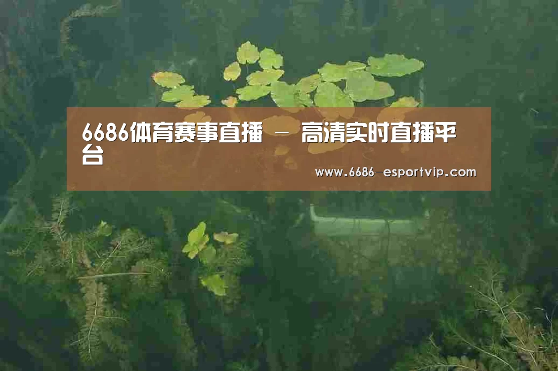 案例展示三