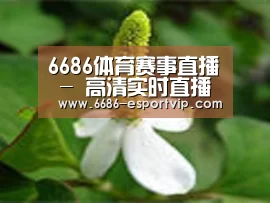 产品名称三