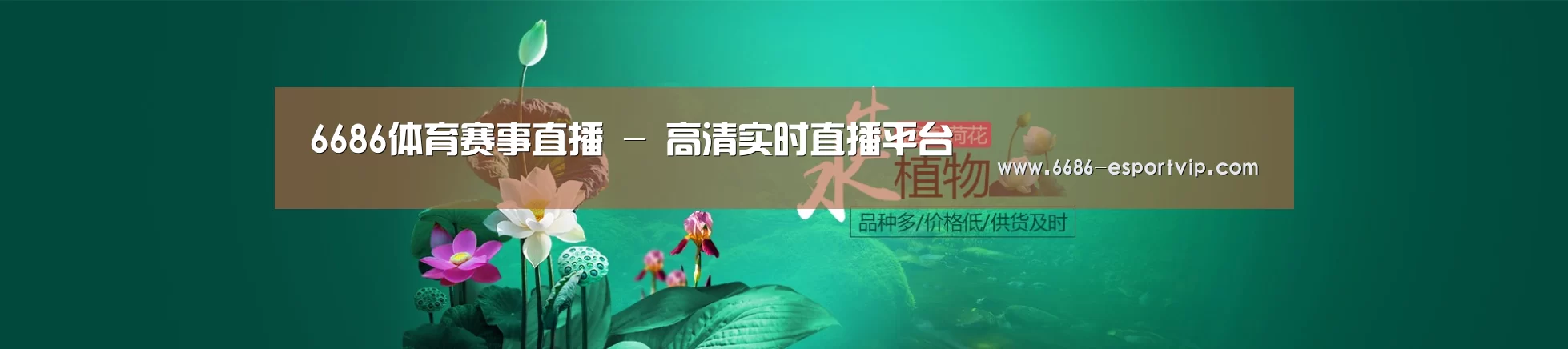 鲜花水草花卉网站模板