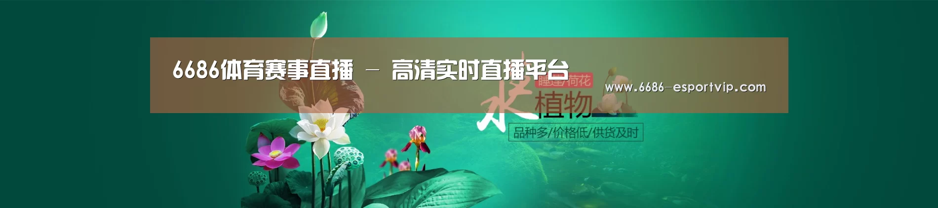 鲜花水草花卉网站模板
